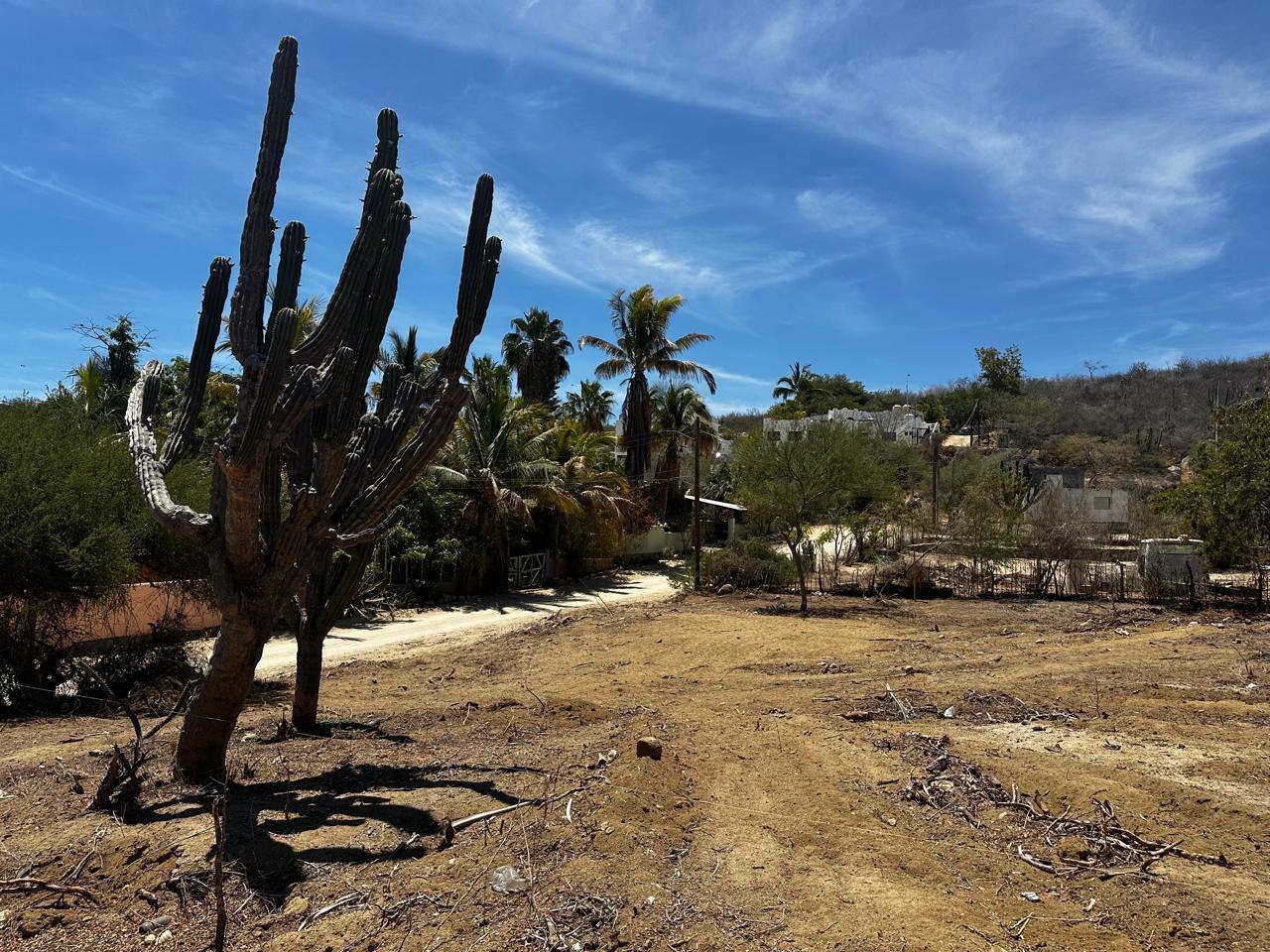 Lot in Buena Vista, East Cape, photo 3