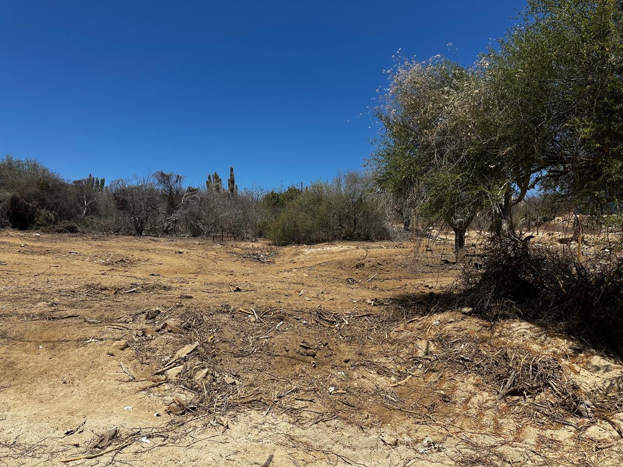 Lot in Buena Vista, East Cape, photo 3