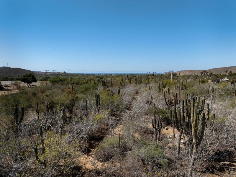 Lot in Pescadero, Pacific