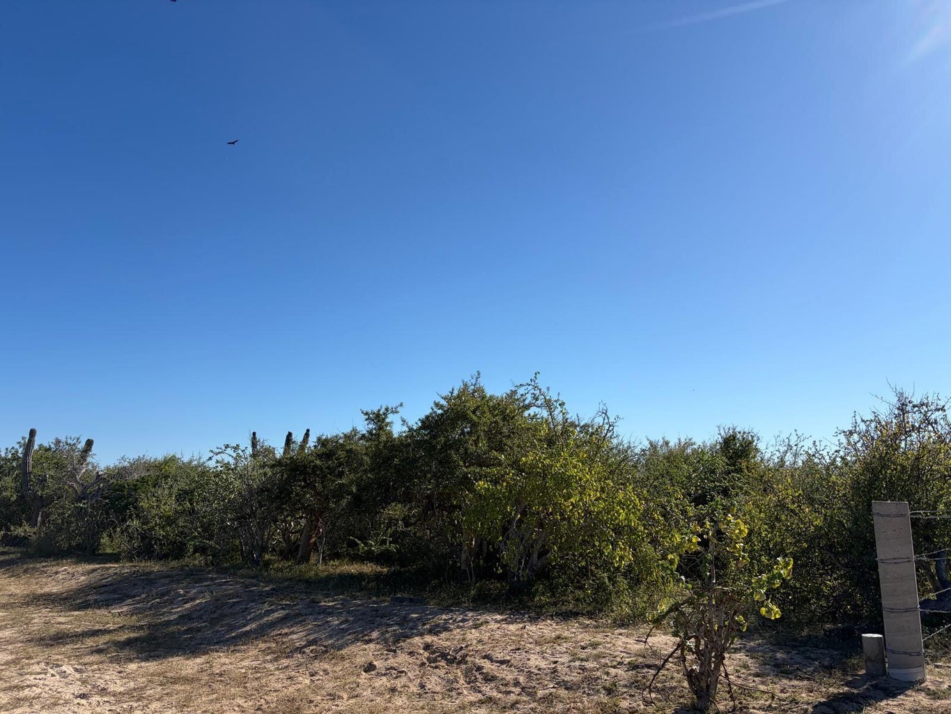 Manzana 5 Lote 15, Bahia Terranova, East Cape, photo 4