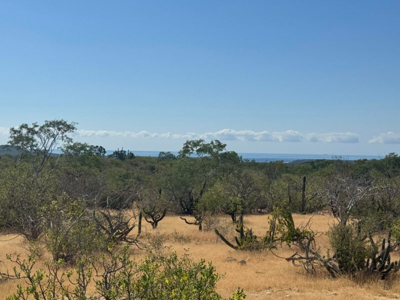 Lot H Rancho La Laguna, East Cape