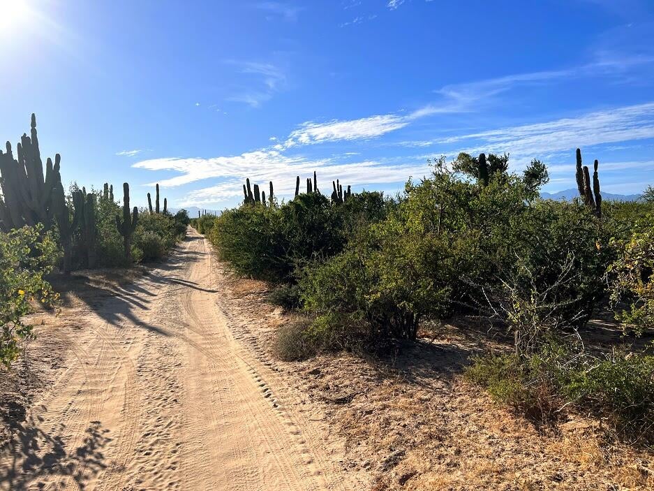 0245 Acre Lot, Bay of Dreams, La Paz, photo 2