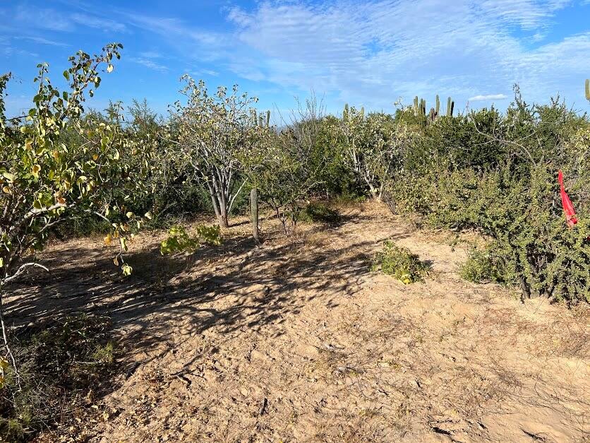 0245 Acre Lot, Bay of Dreams, La Paz, photo 3