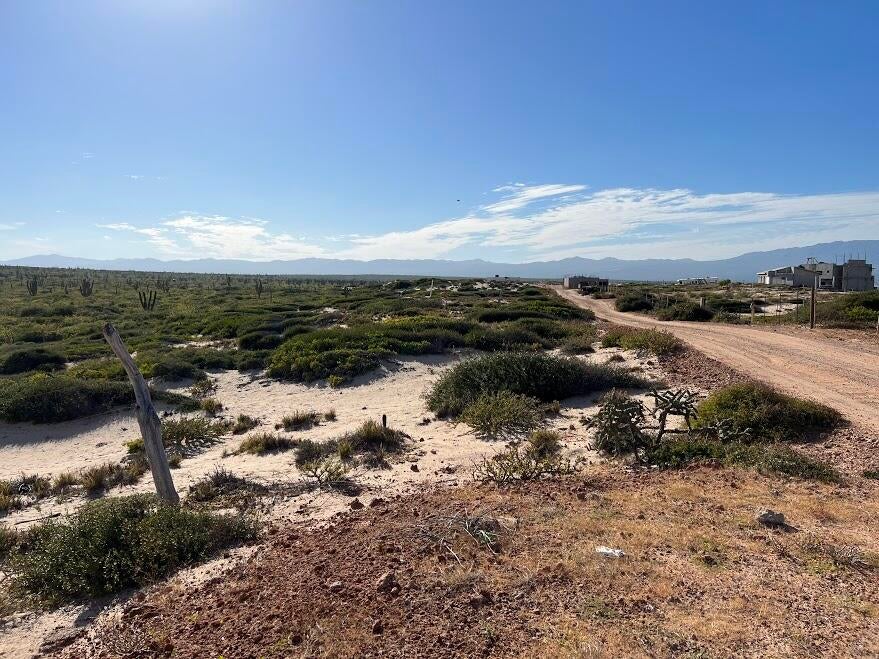0373 Lot, Bay of Dreams, La Paz, photo 2