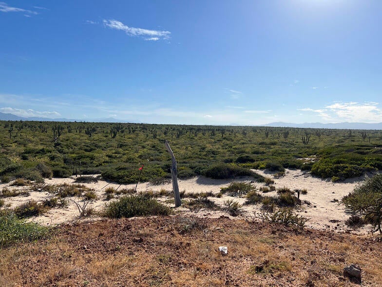 0373 Lot, Bay of Dreams, La Paz, photo 3
