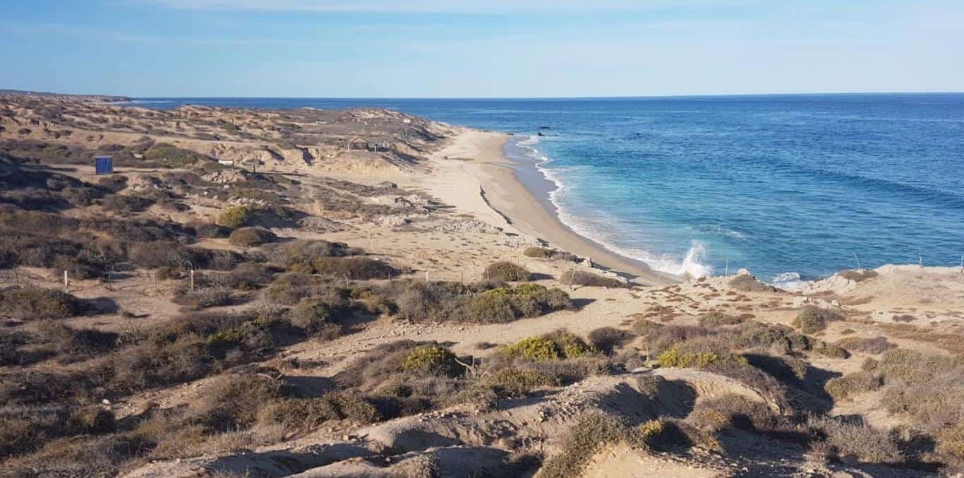 Predio San Luis Lot 3, Nine Palms, East Cape, photo 4