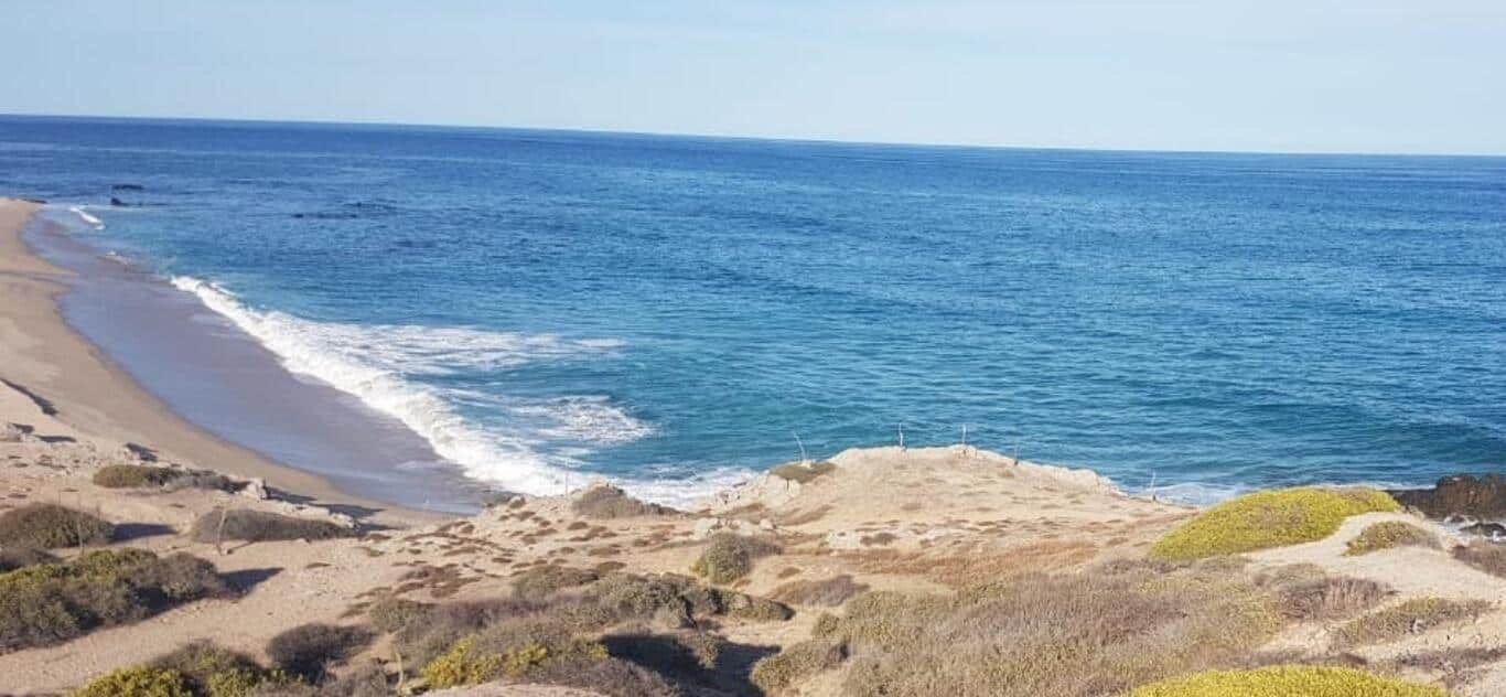 Predio San Luis Lot 3, Nine Palms, East Cape, photo 5