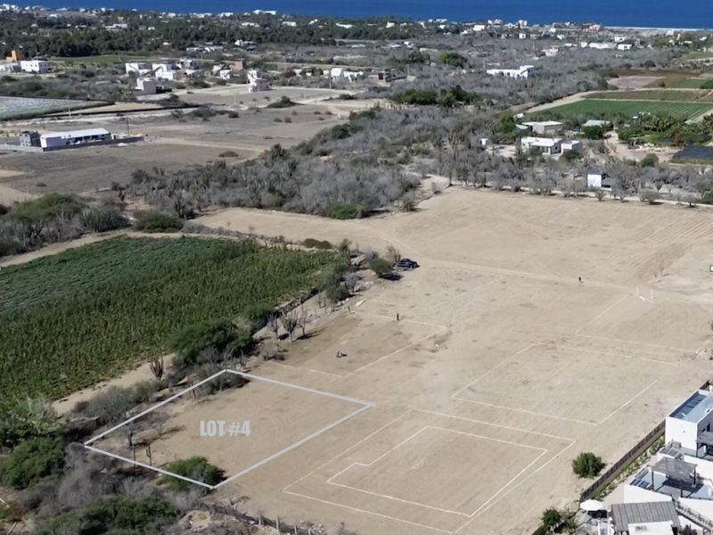 Lot 4, Gallo 64, Pacific