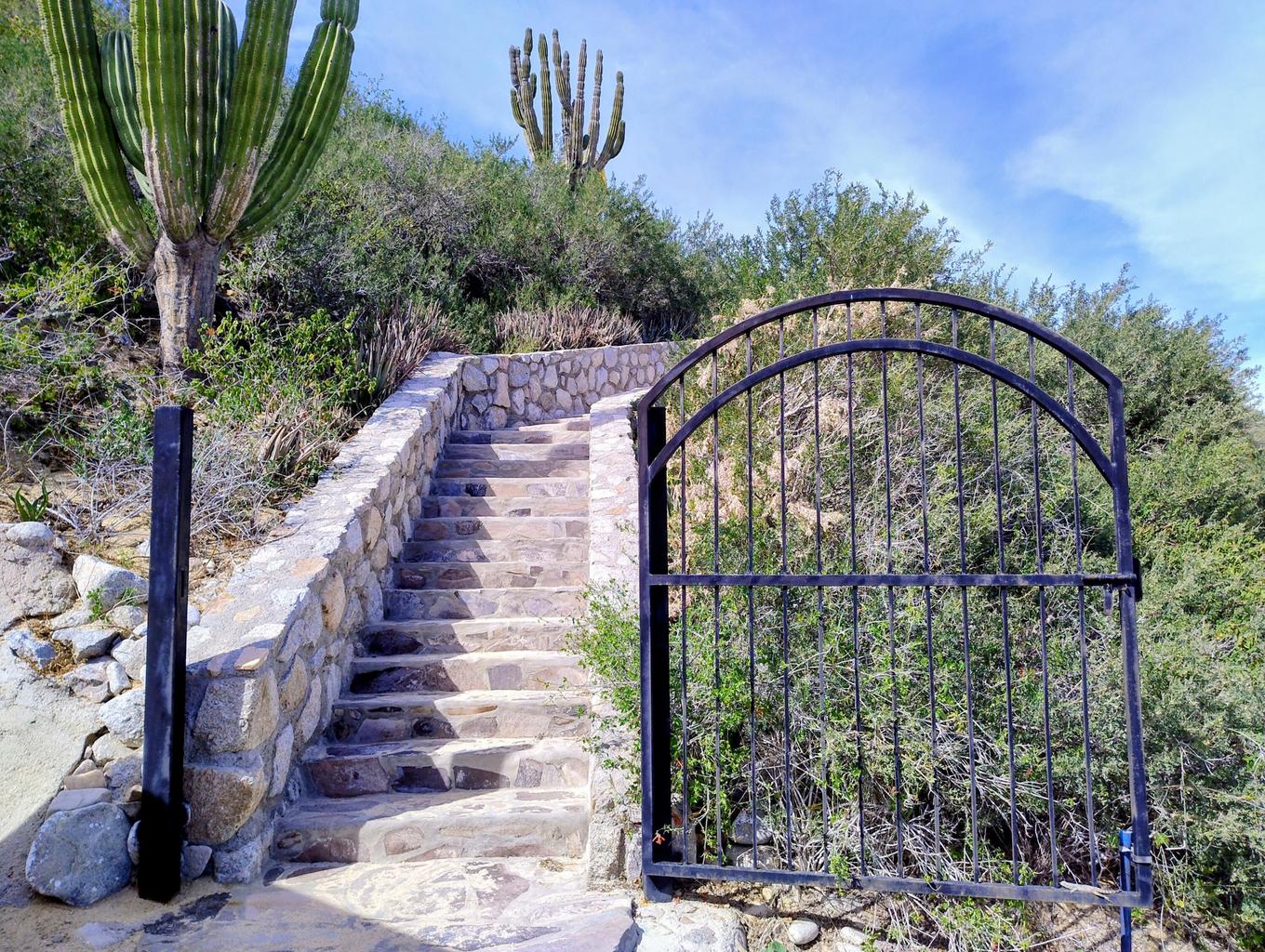 Corredor Isla Cerralvo, La Ventana, La Paz, photo 2