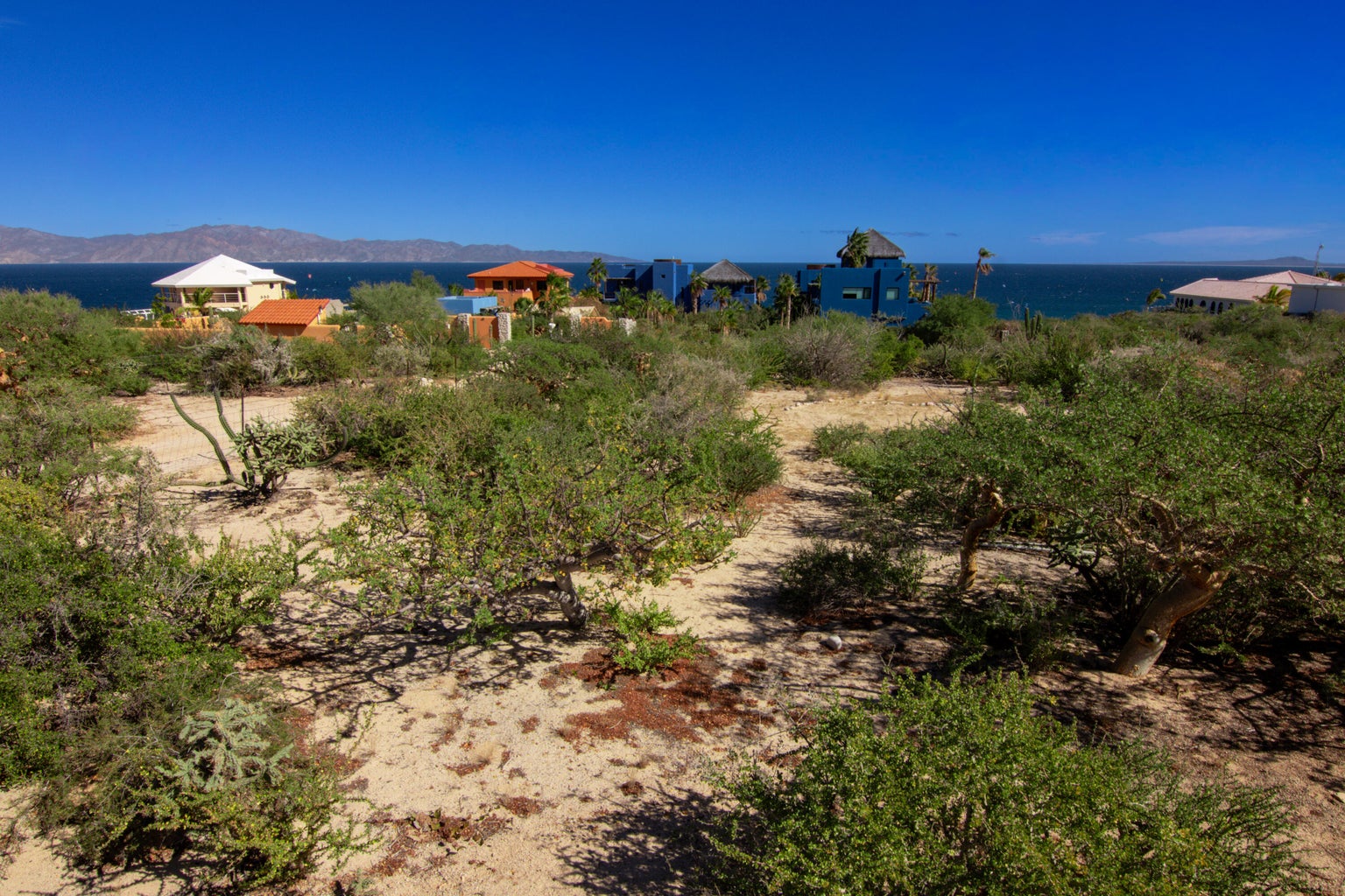 Corredor Isla Cerralvo, El Sargento, La Paz, photo 3