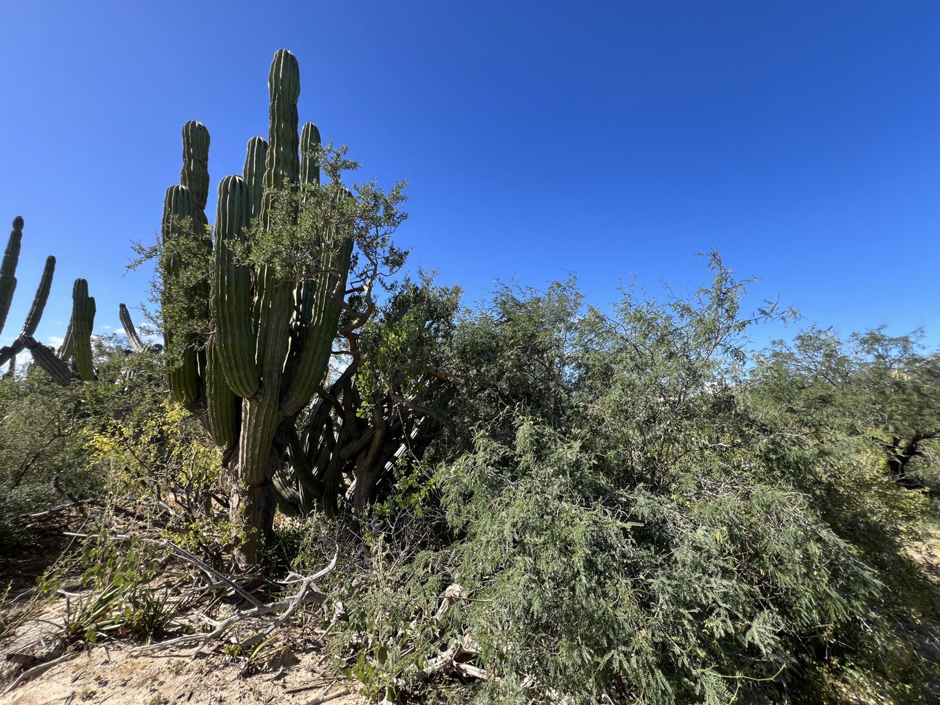 Lot 8 Block 1, La Ventana, La Paz, photo 5