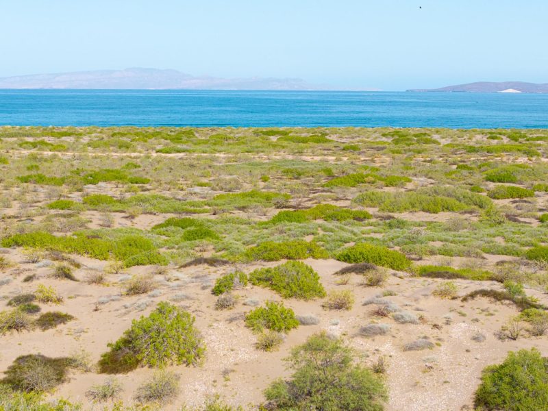 El Mogote, Paraiso del Mar, La Paz