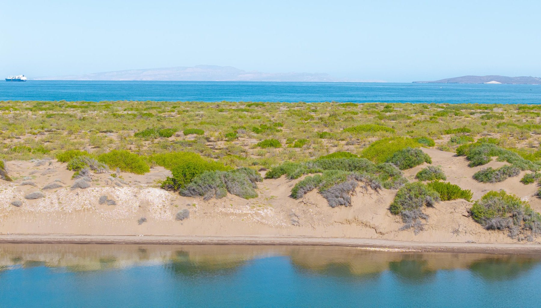 El Mogote, Paraiso del Mar, La Paz, photo 3