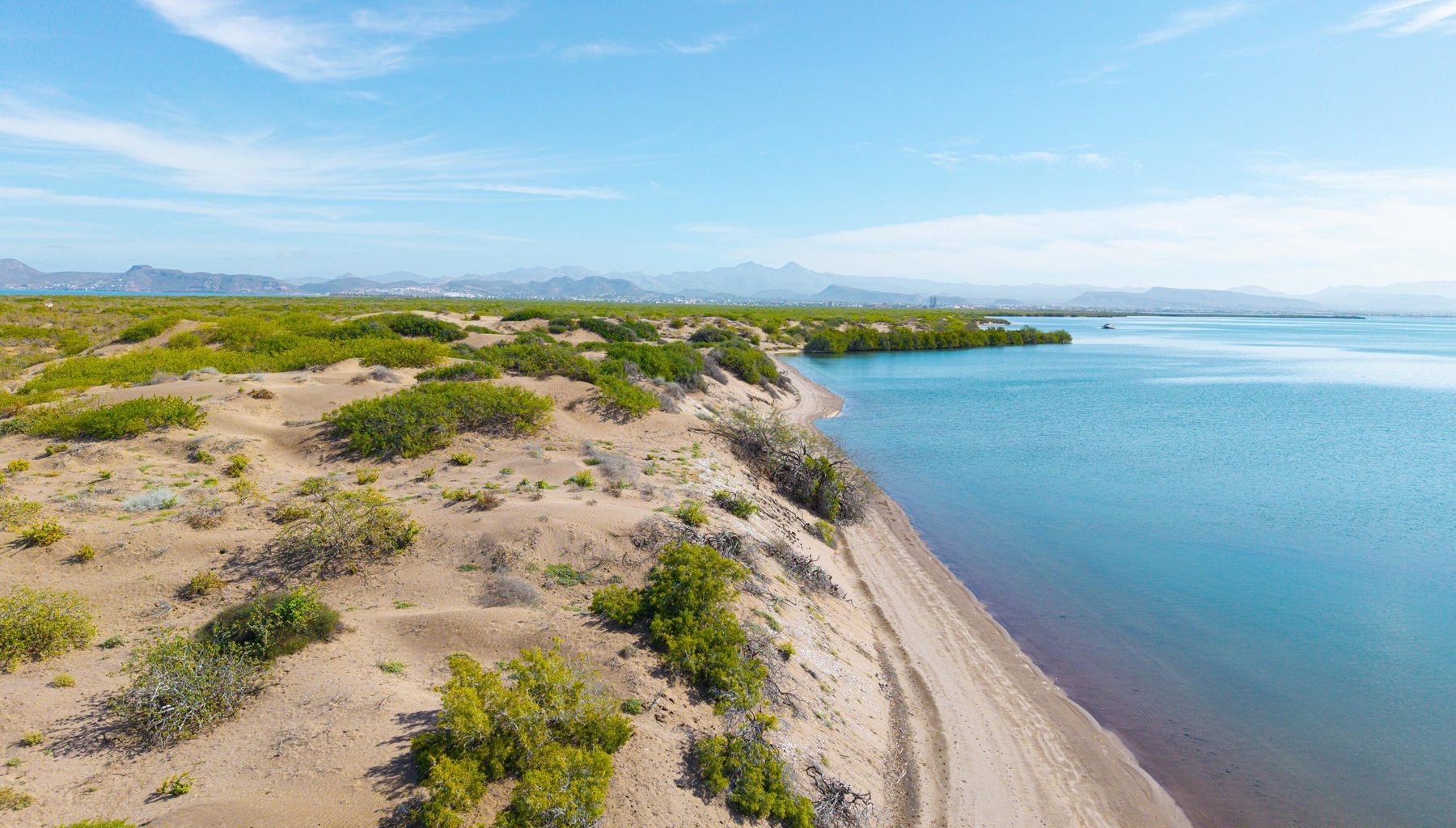 El Mogote, Paraiso del Mar, La Paz, photo 4