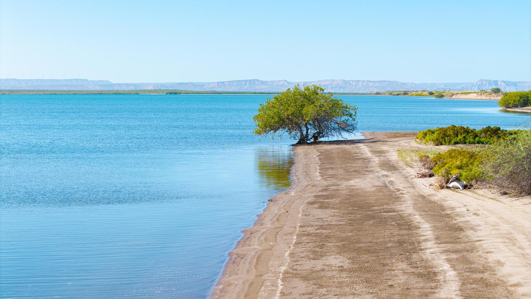 El Mogote, Paraiso del Mar, La Paz, photo 2