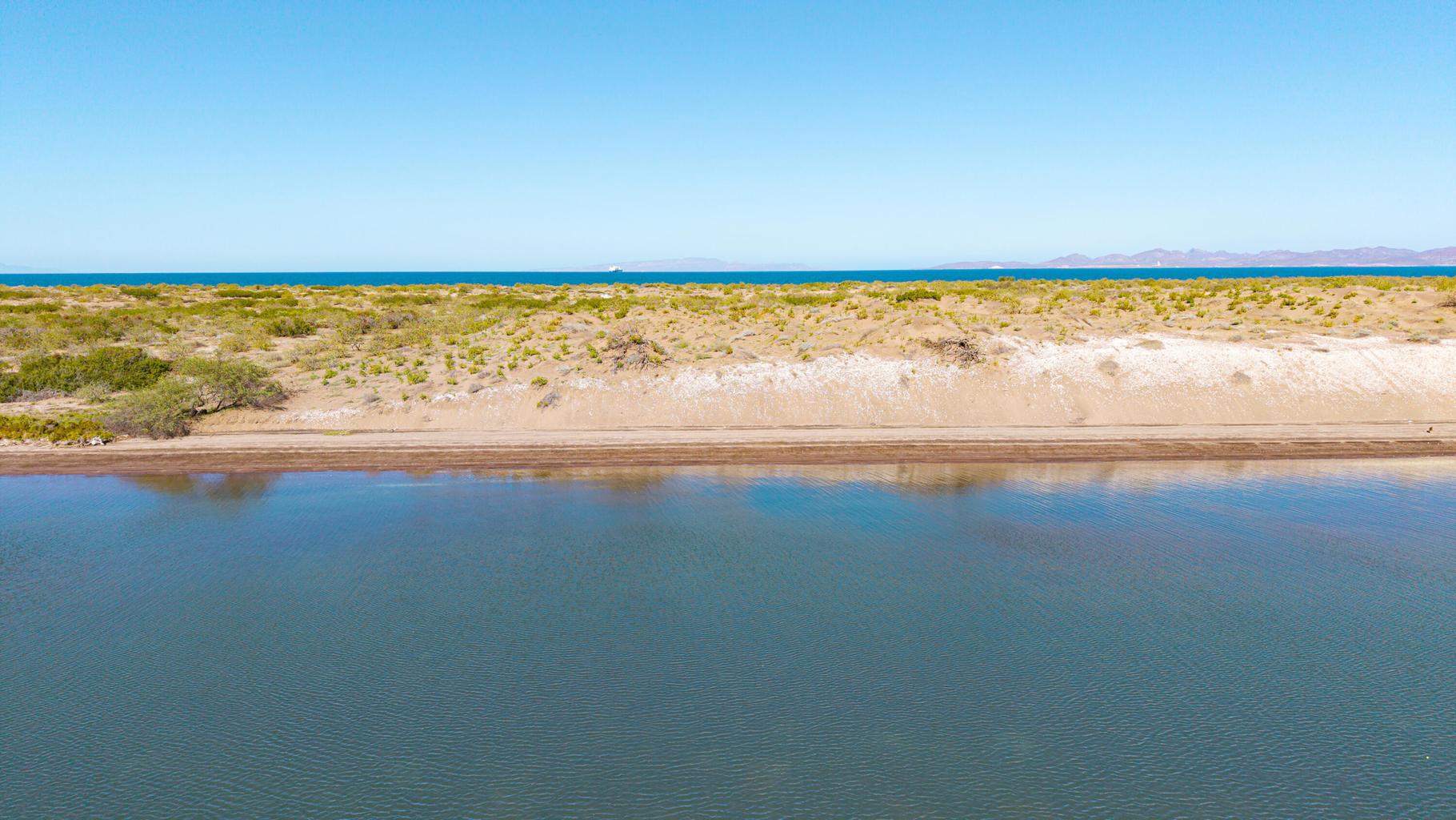 El Mogote, Paraiso del Mar, La Paz, photo 3