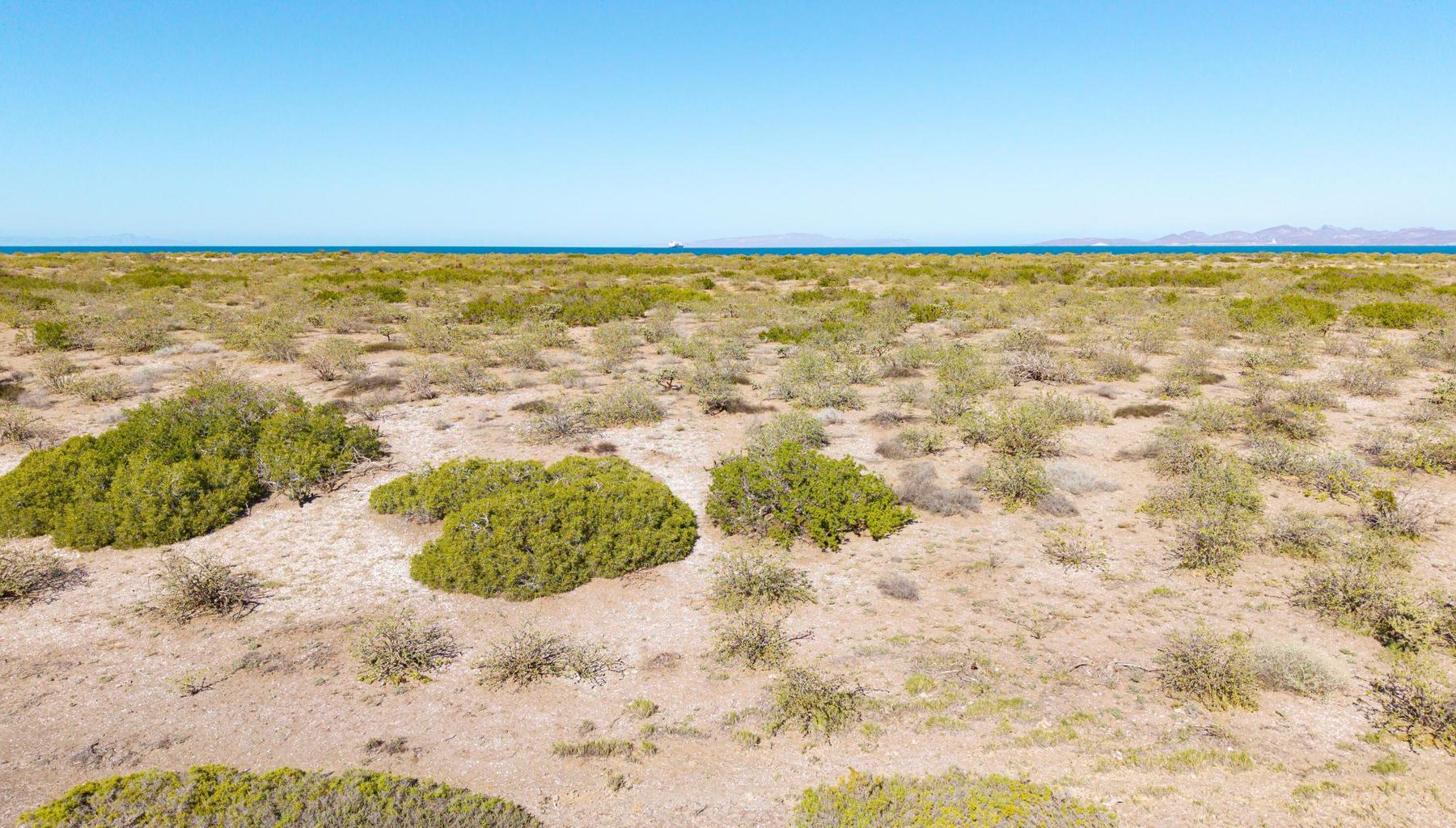 El Mogote, Paraiso del Mar, La Paz, photo 5
