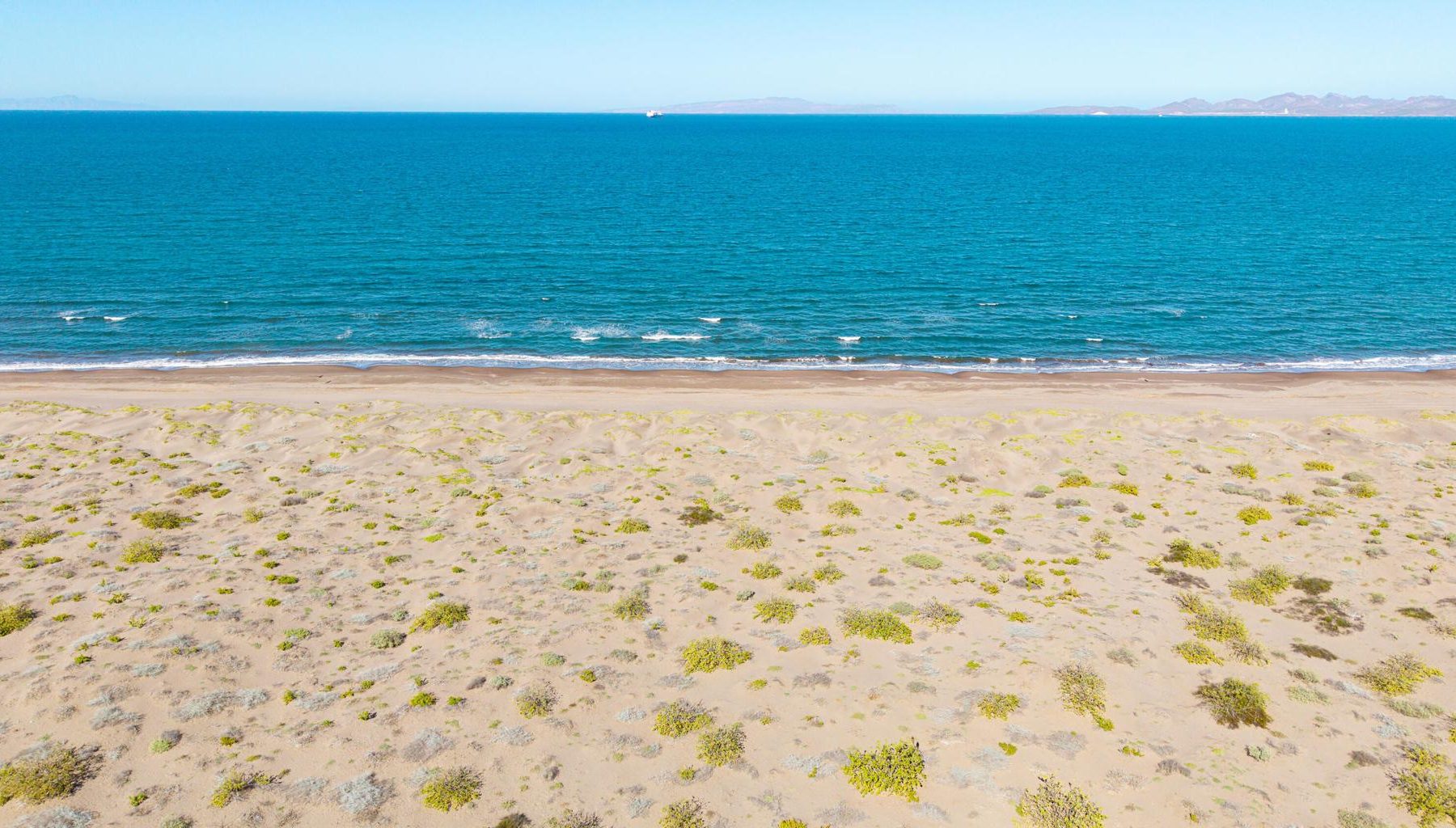 El Mogote, Paraiso del Mar, La Paz, photo 5