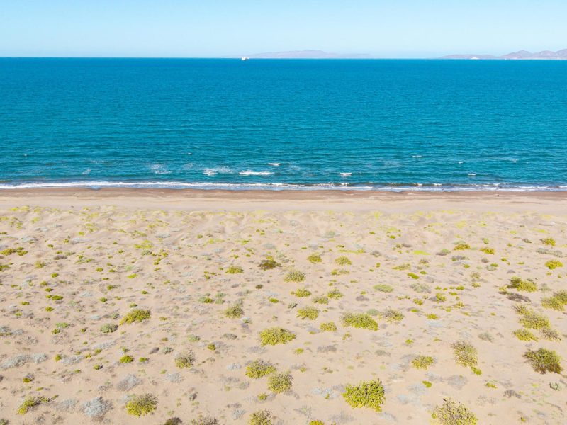 El Mogote, Paraiso del Mar, La Paz
