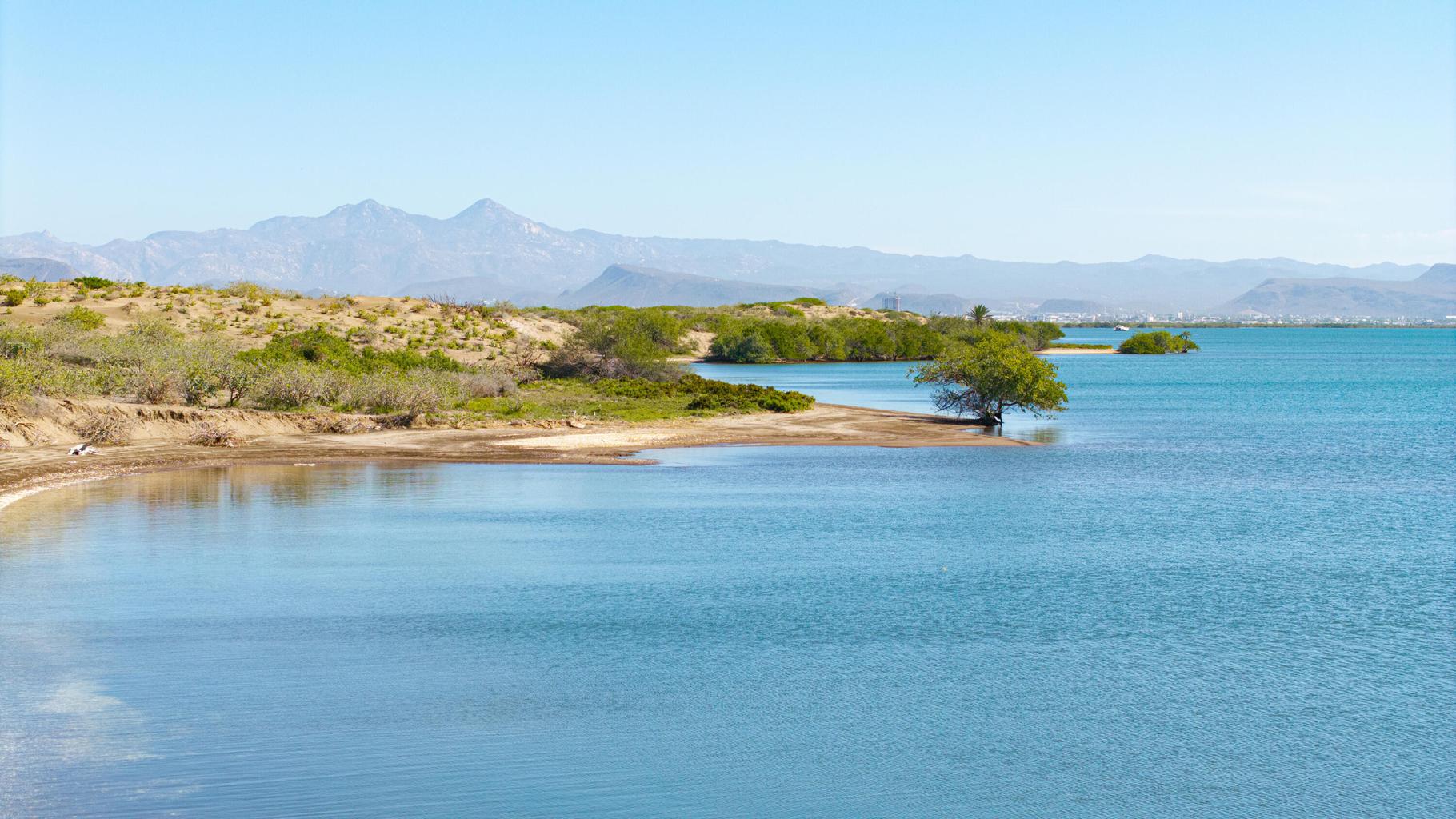 El Mogote, Paraiso del Mar, La Paz, photo 4