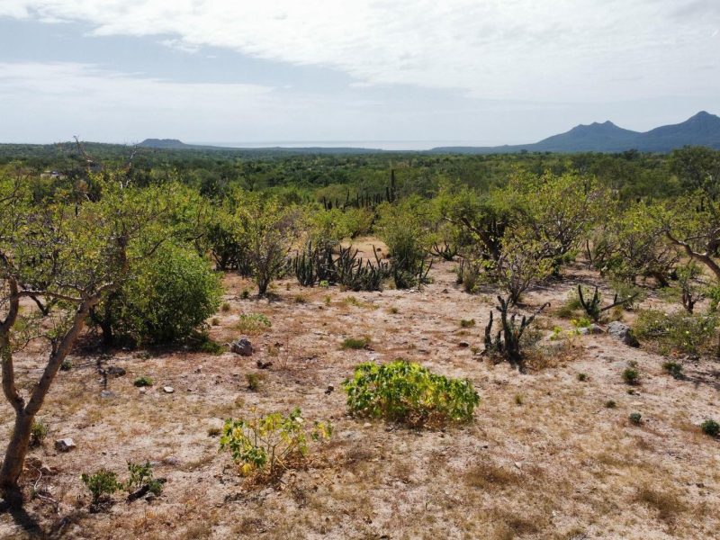 Rancho Laguna Lot 142, Rancho La Laguna, East Cape