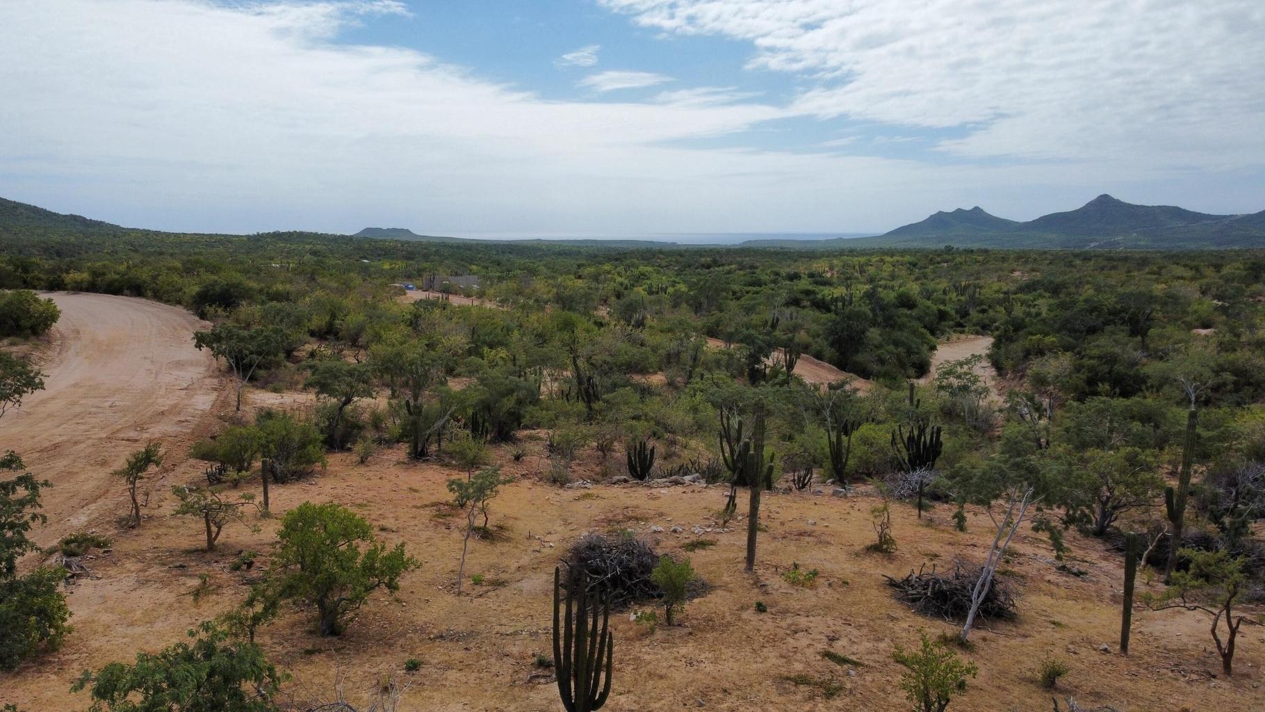 Rancho Laguna Lot 142, Rancho La Laguna, East Cape, photo 2