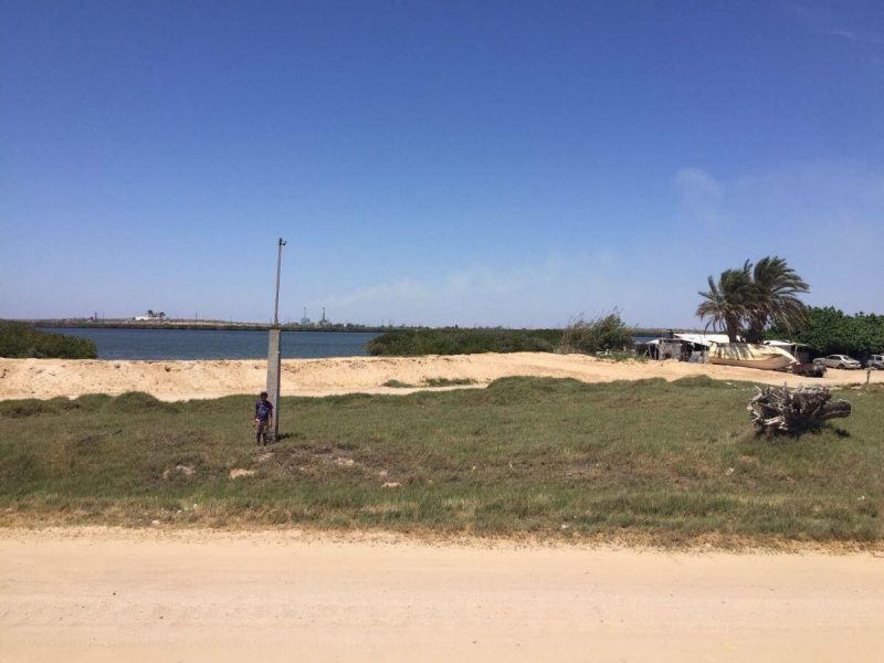 Ave Paseo Costero, Puerto San Carlos, Comondu