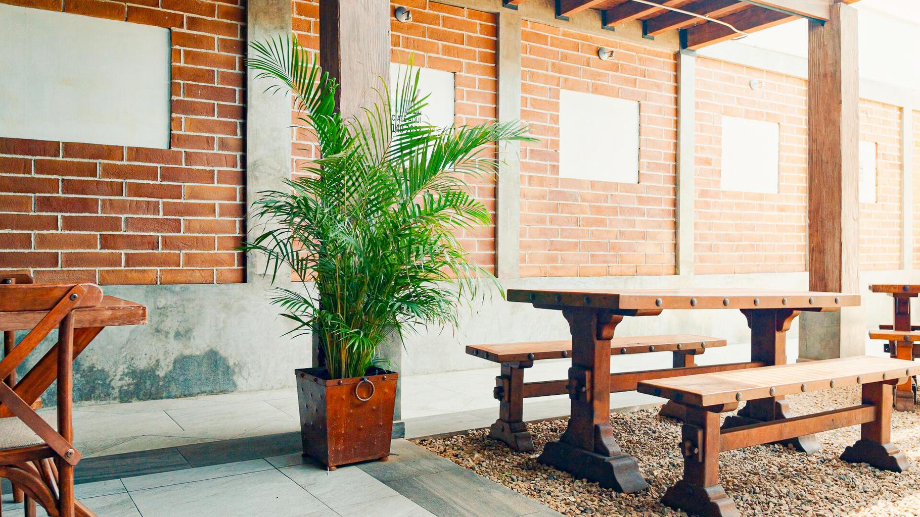 Commercial Property in Centro-Todos Santos, Pacific, photo 2