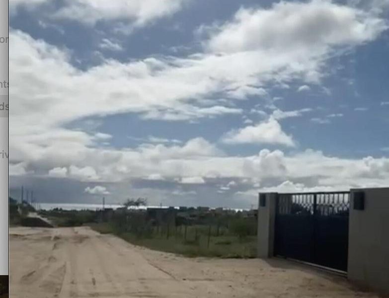Na Lomas del Pacifico, Ahorcadita