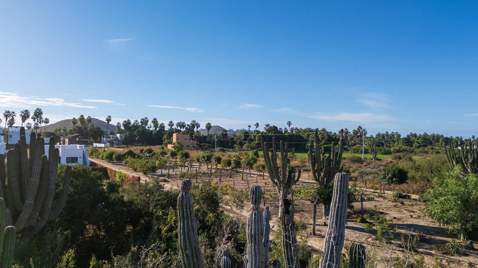 Lot in Pescadero, Pacific, photo 5