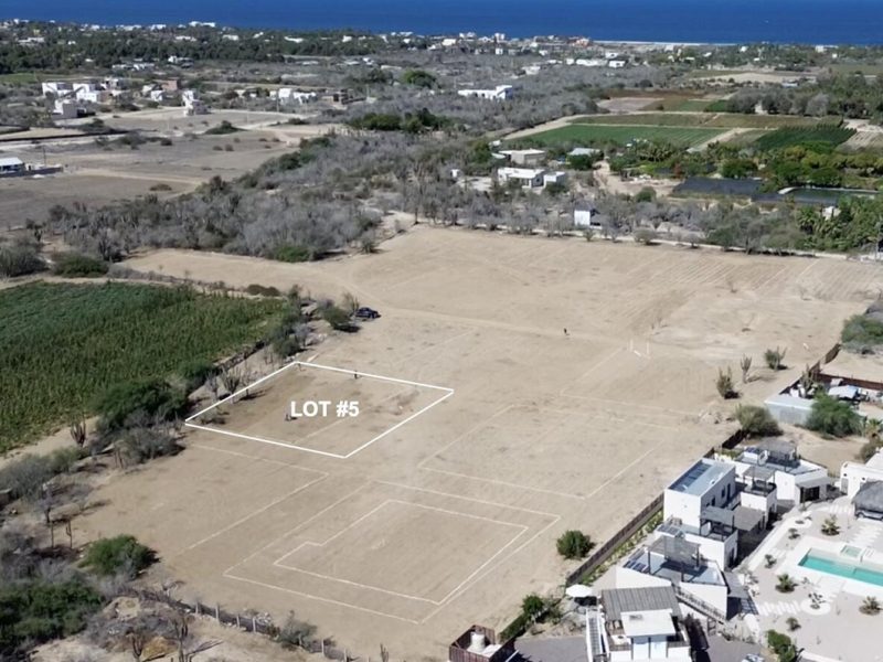 Lot 5, Gallo 64, Pacific
