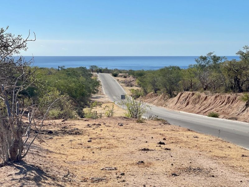 ZACATÓN, Zacaton, East Cape