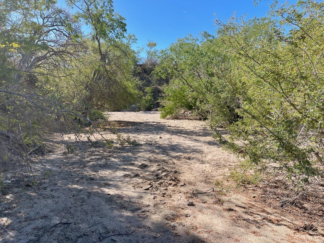 ZACATÓN, Zacaton, East Cape, photo 3