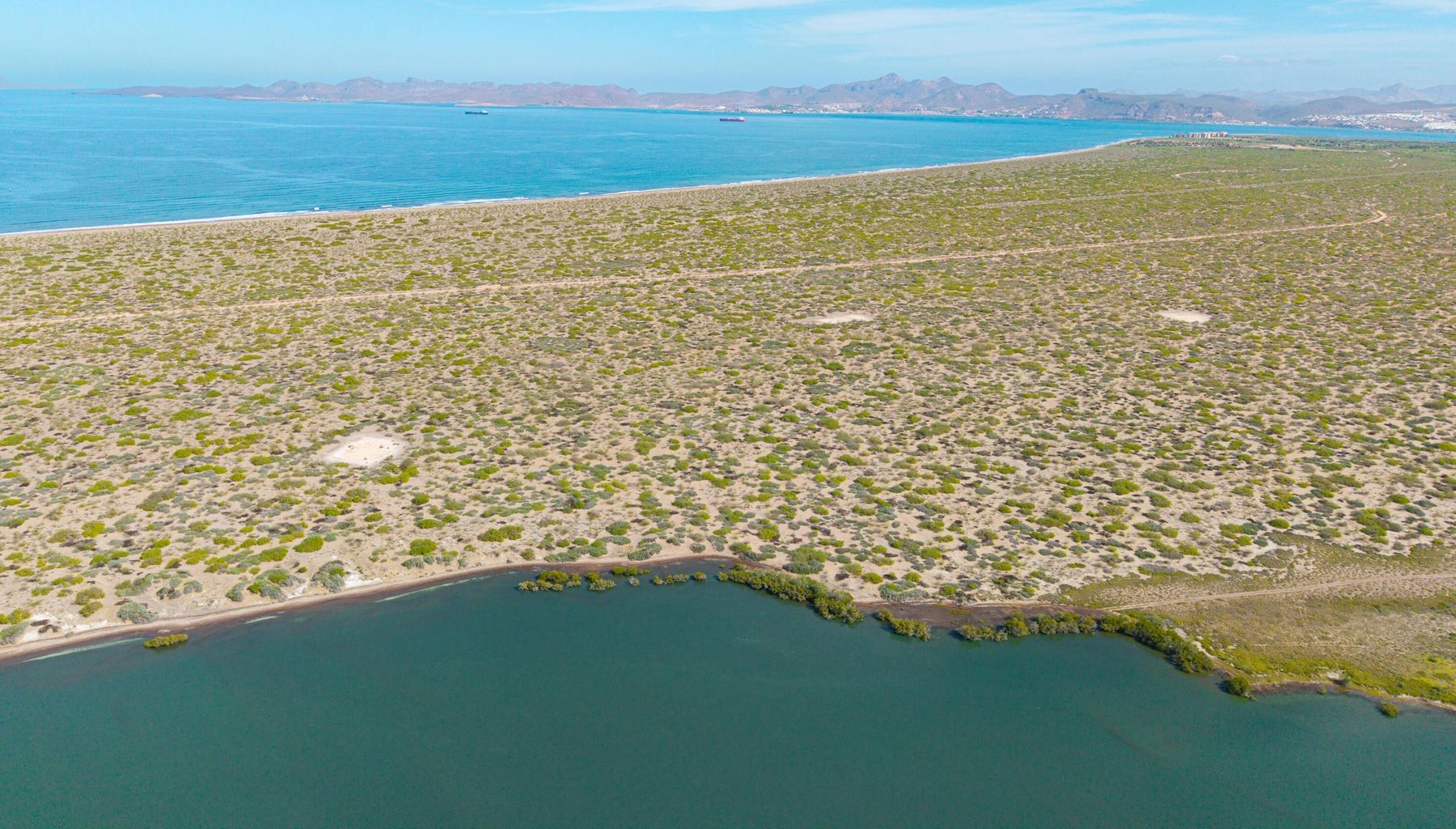 El Mogote, Paraiso del Mar, La Paz, photo 5