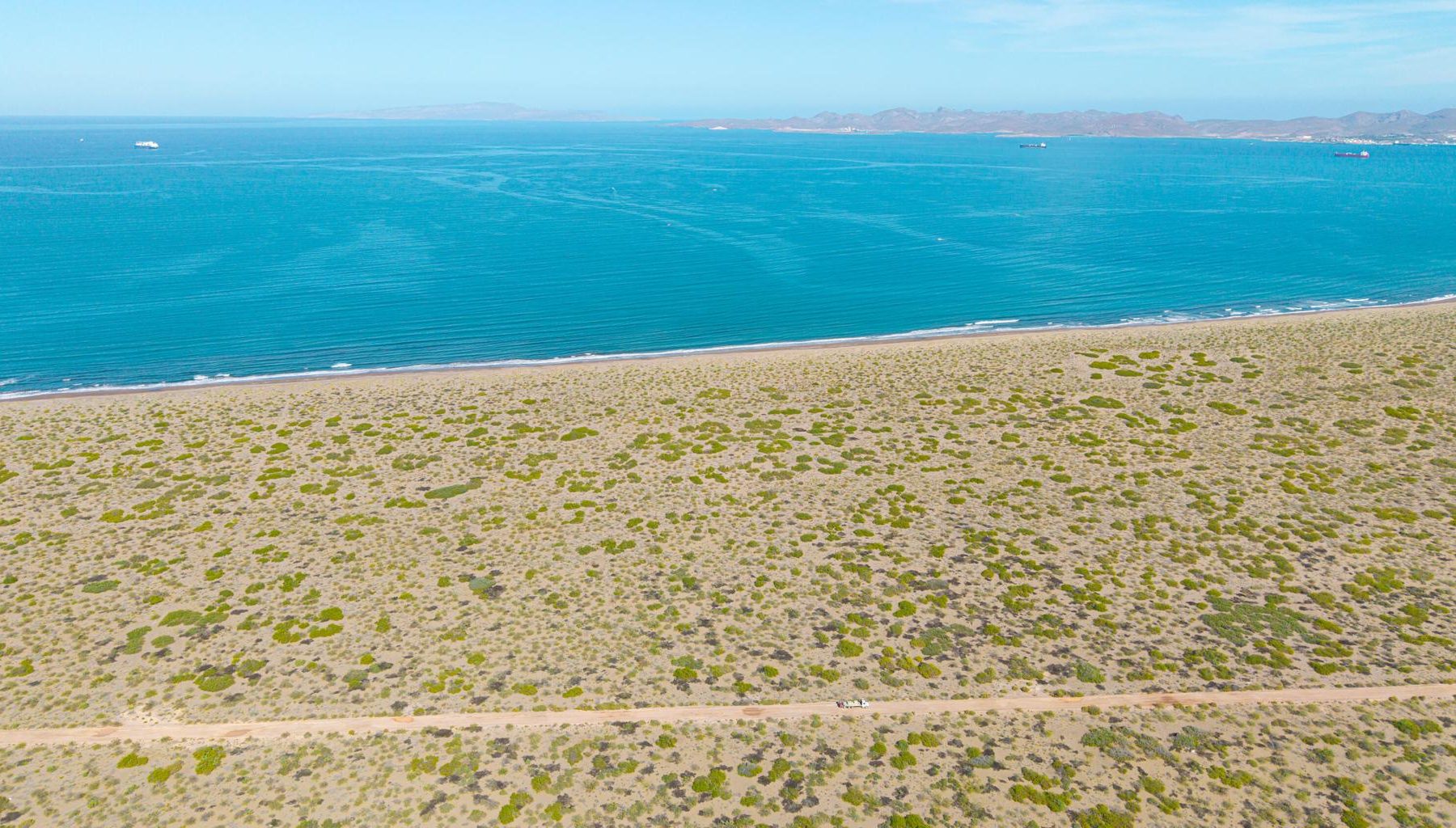 El Mogote, Paraiso del Mar, La Paz, photo 3