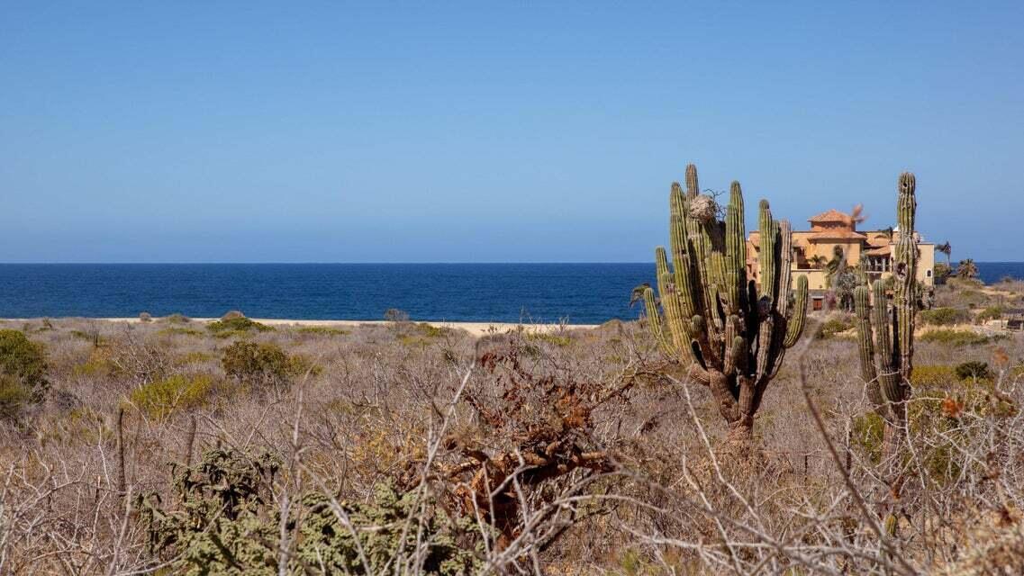 L-13 Rancho Nuevo, Pacific, photo 2