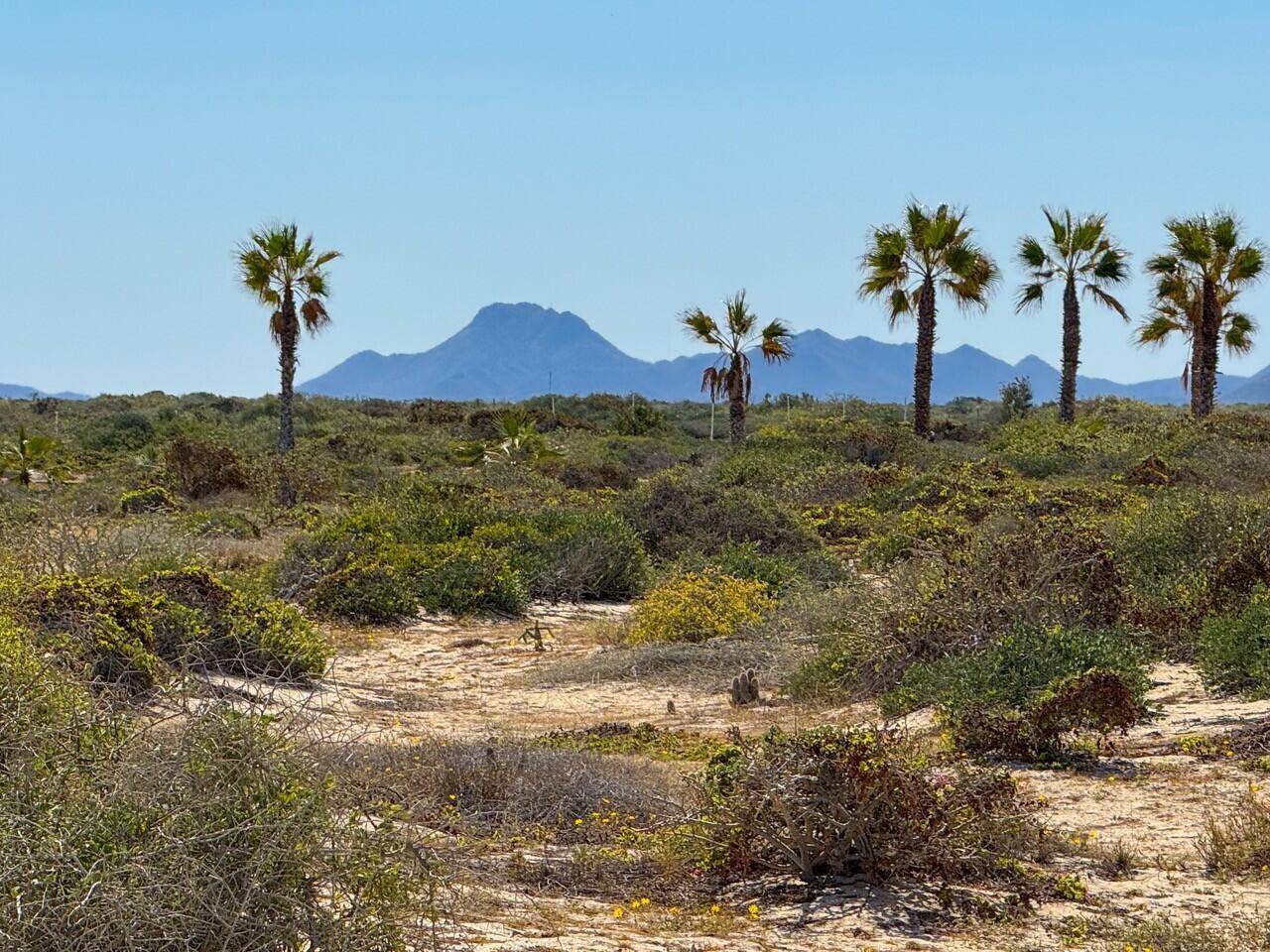 C60 Playa Feliz, Lighthouse Point Est, East Cape, photo 3