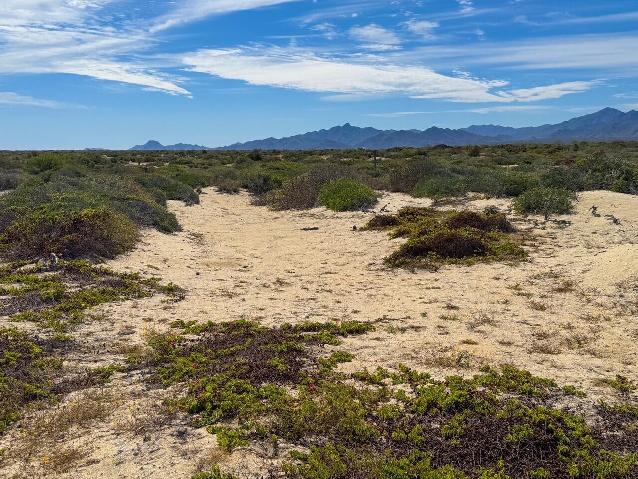 C60 Playa Feliz, Lighthouse Point Est, East Cape, photo 2