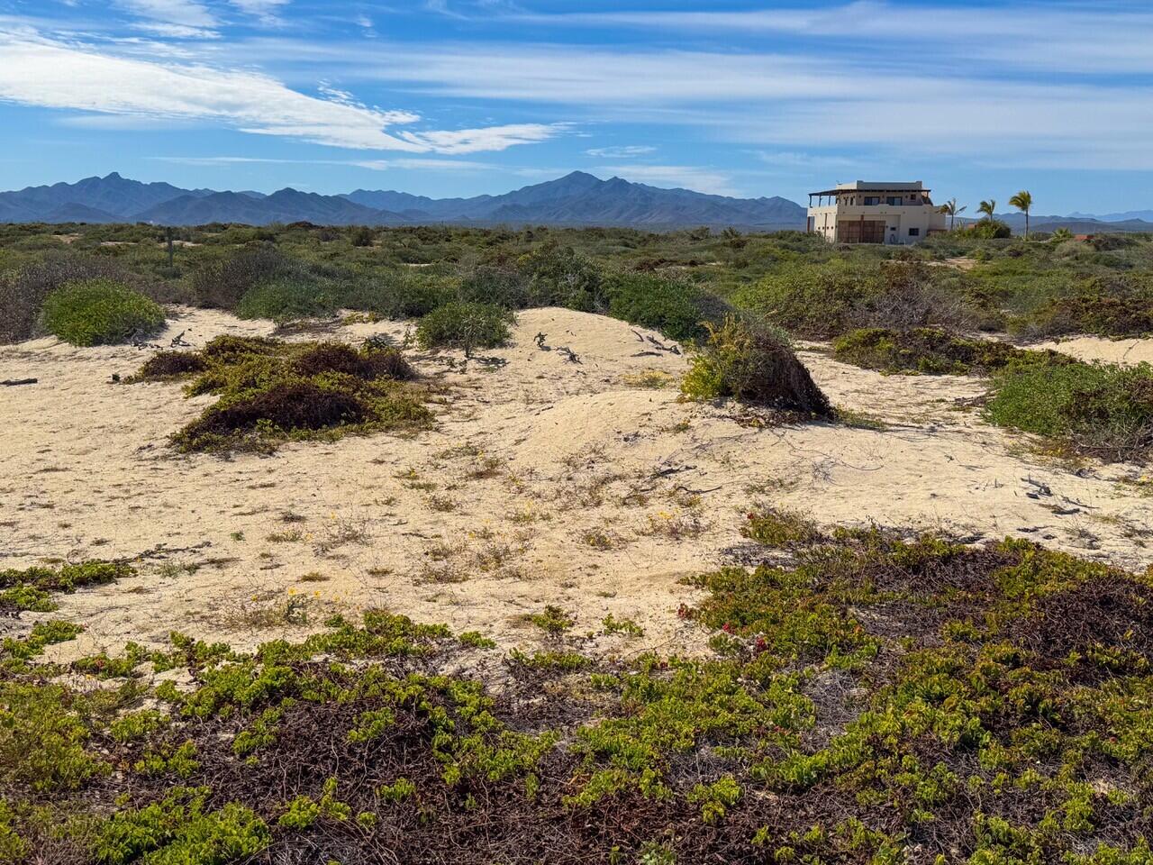 Ave Playa Feliz, Lighthouse Point Est, East Cape, photo 2