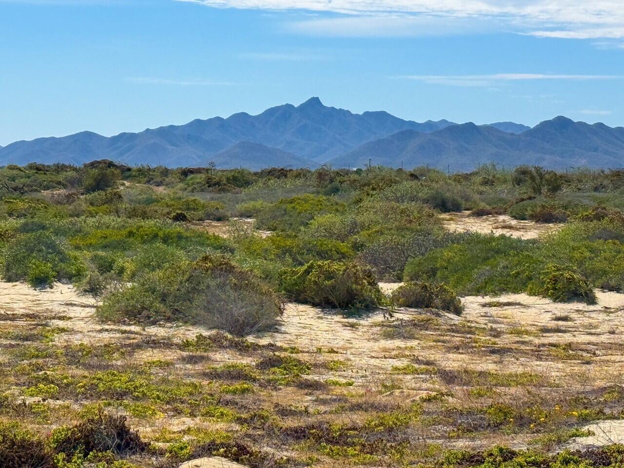 Ave Playa Feliz, Lighthouse Point Est, East Cape, photo 3