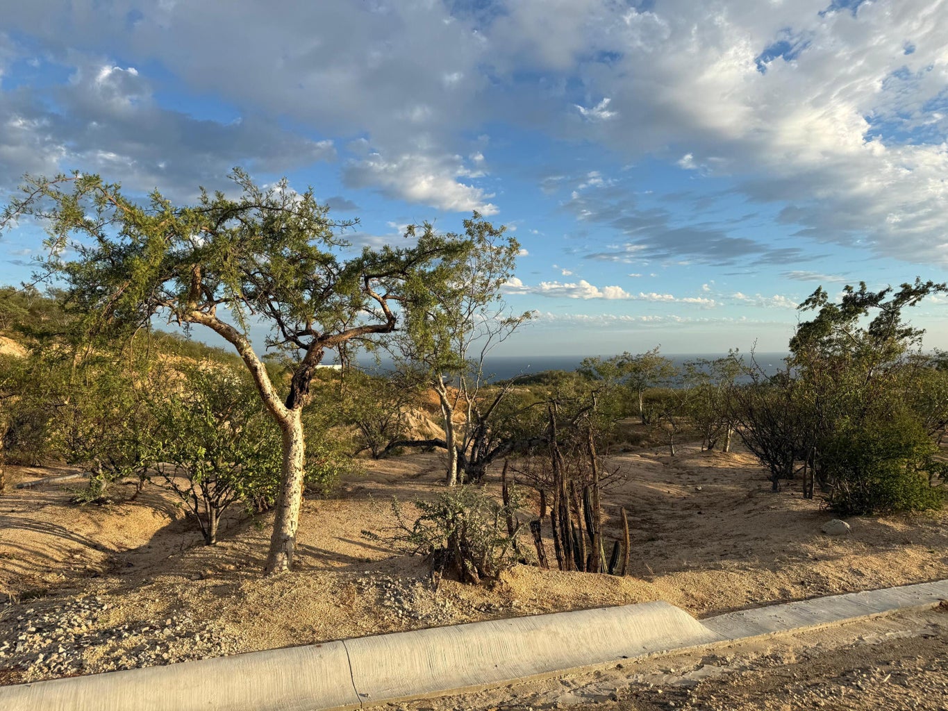 Lot in El Tule-Inland:General, San Jose Corridor, photo 2