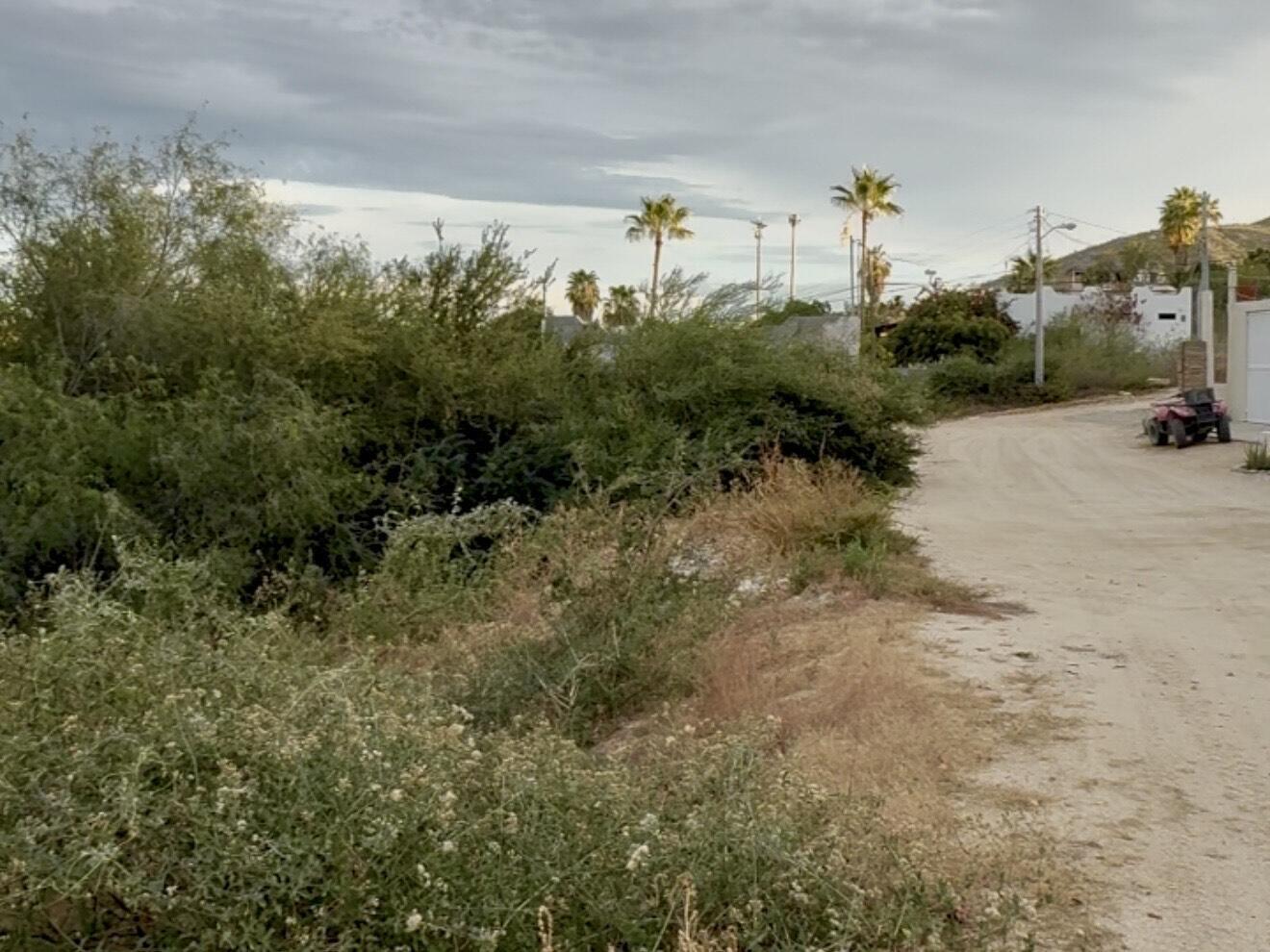 SN CALLE TRANQUILA DON MIGUEL CARRIL, Centro-Los Barriles, East Cape, photo 5