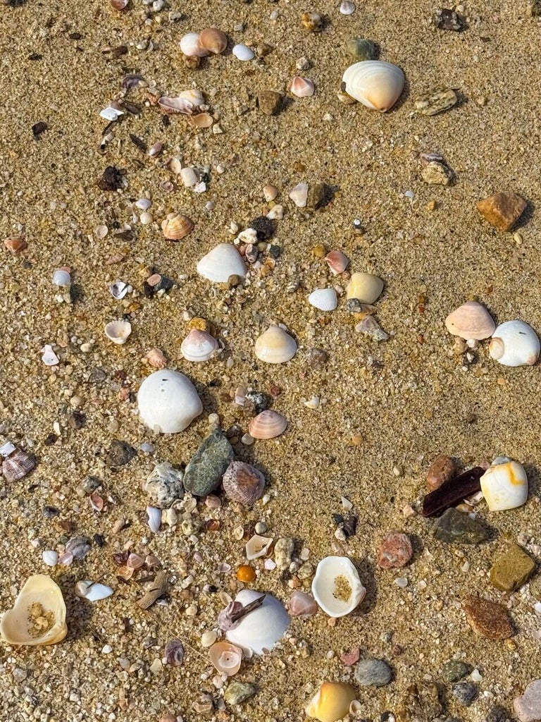 Ave Playa Feliz, Lighthouse Point Est, East Cape, photo 3