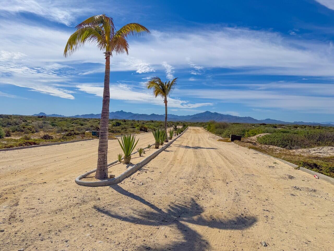 Ave Playa Feliz, Lighthouse Point Est, East Cape, photo 5