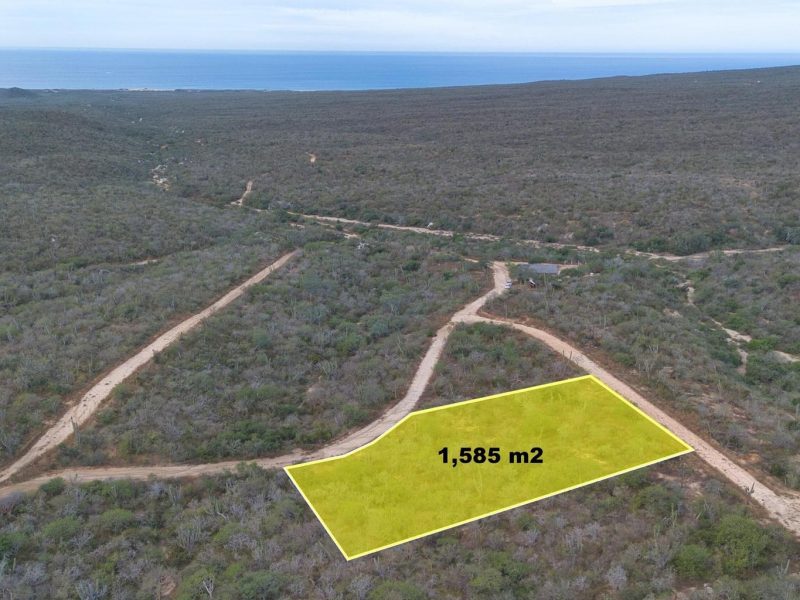 Lot#39, Rolling Hills, Pacific