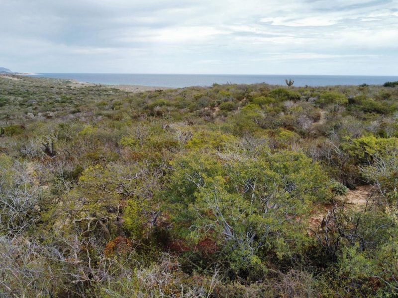 Lot 513 Costa de Oro, East Cape