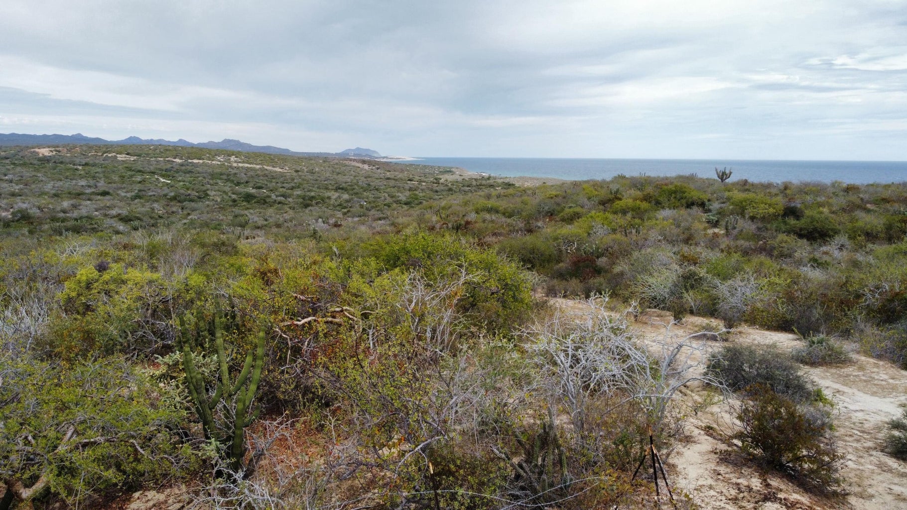 Lot 513 Costa de Oro, East Cape, photo 2