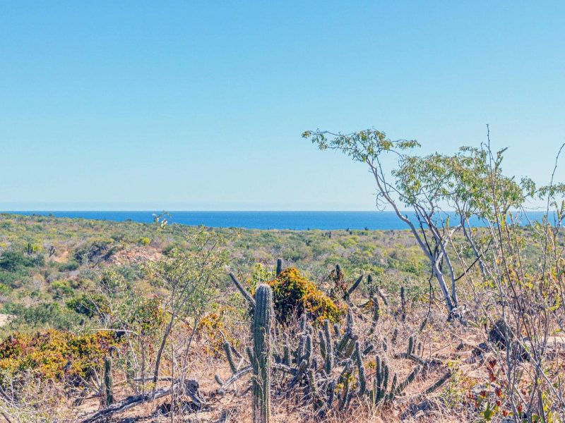 Laguna Hills Block 3 lot 6, San Jose del Cabo