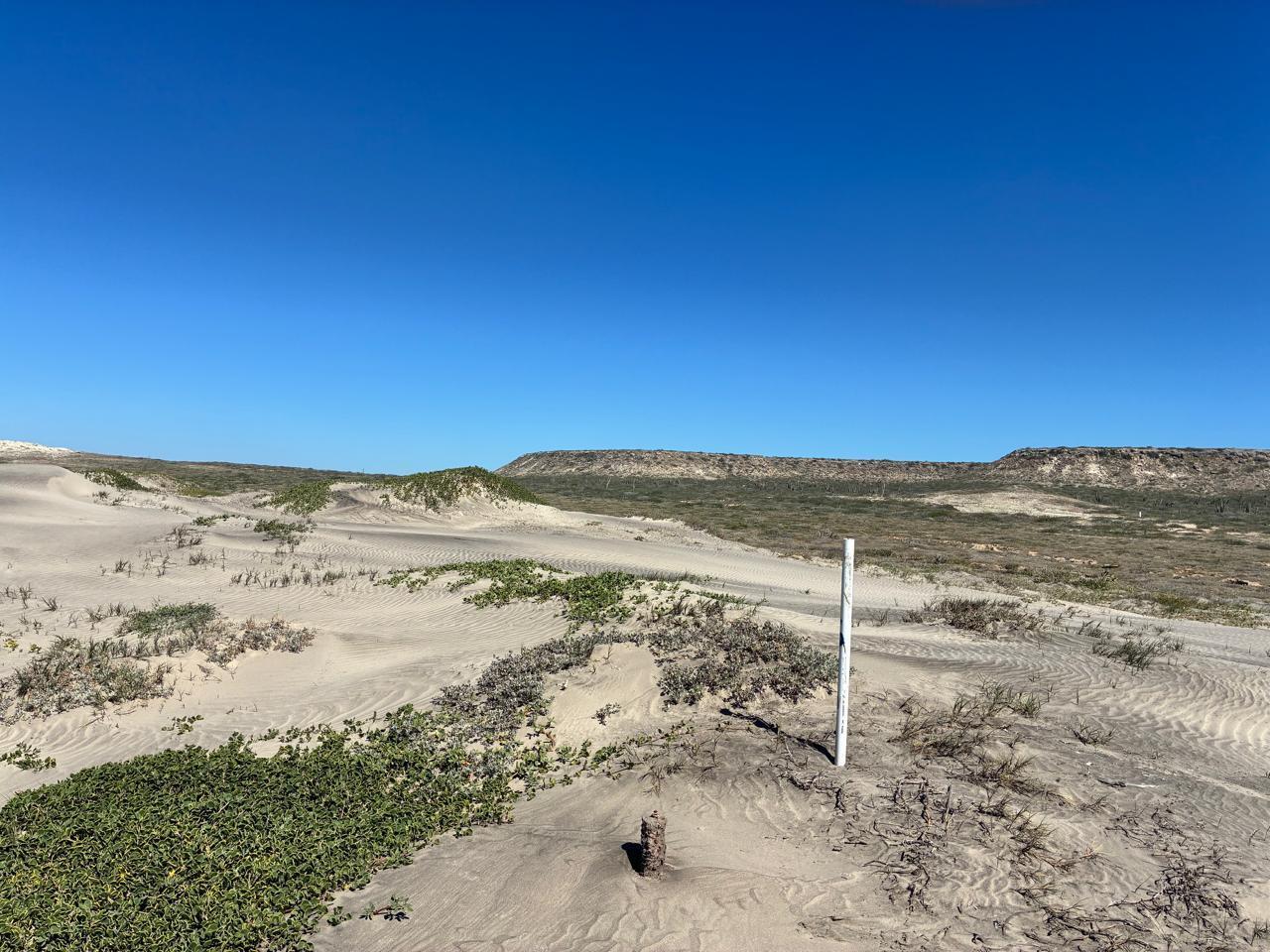 Lot 157 Acceso, Conquista Agraria NCPE, La Paz, photo 5