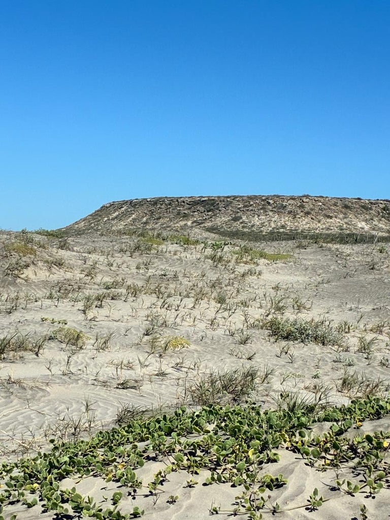 Lot 155 Acceso, Conquista Agraria NCPE, La Paz, photo 5